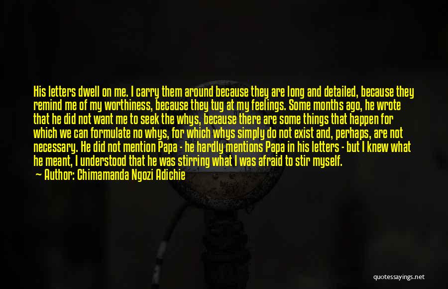 Feelings Not Understood Quotes By Chimamanda Ngozi Adichie