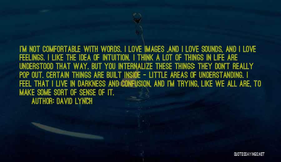 Feelings Not Understood Quotes By David Lynch
