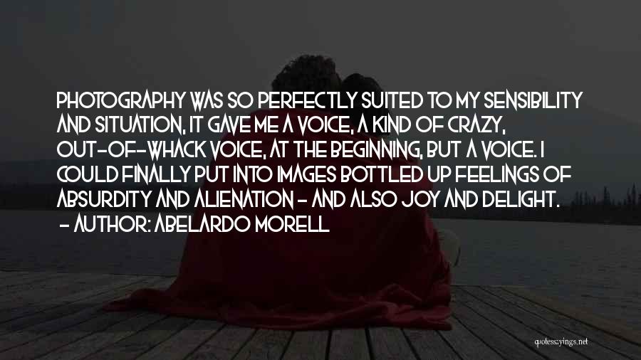 Feelings Of Joy Quotes By Abelardo Morell