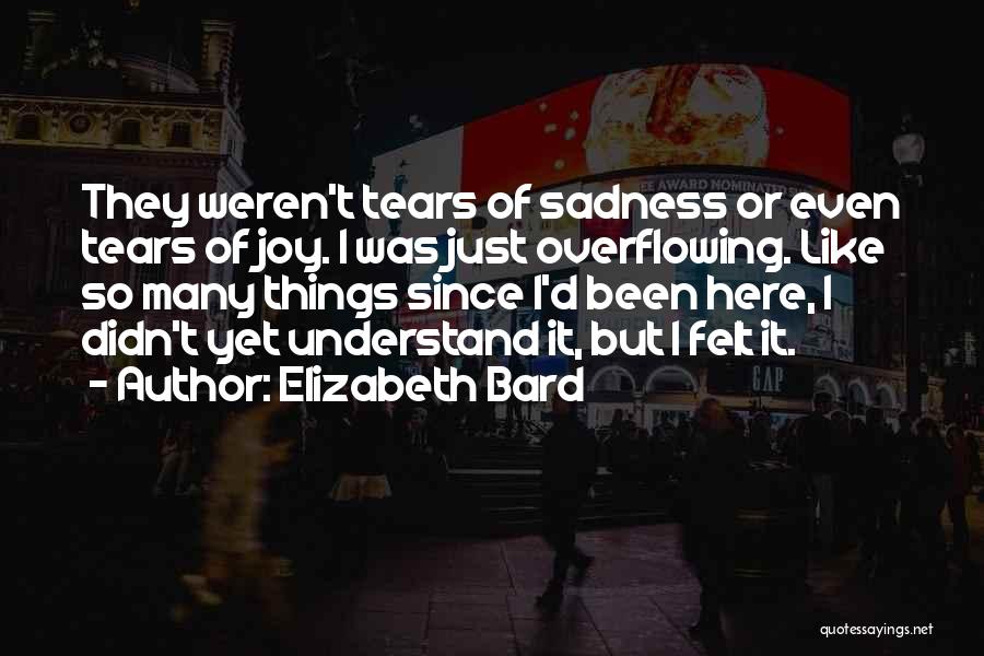 Feelings Of Sadness Quotes By Elizabeth Bard