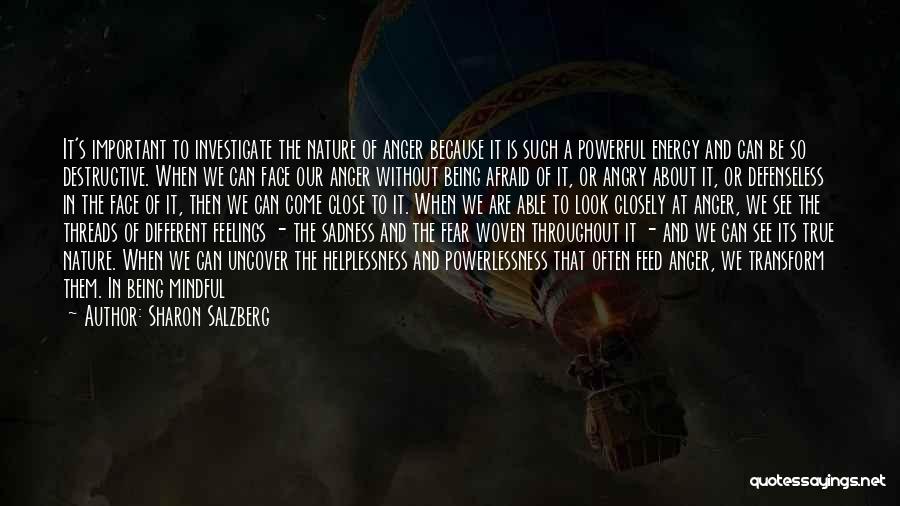 Feelings Of Sadness Quotes By Sharon Salzberg