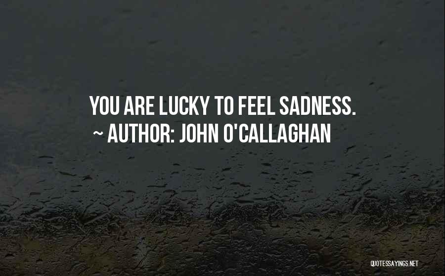 Feelings Sad Quotes By John O'Callaghan