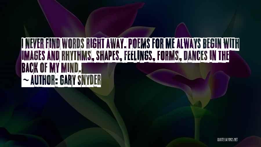 Feelings That Never Go Away Quotes By Gary Snyder