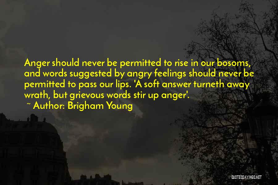 Feelings That Never Went Away Quotes By Brigham Young