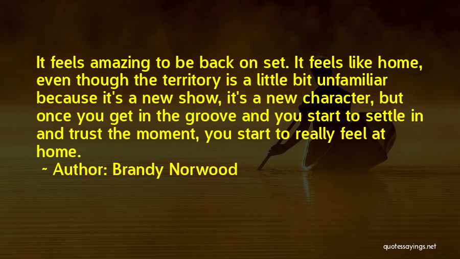 Feels Amazing Quotes By Brandy Norwood