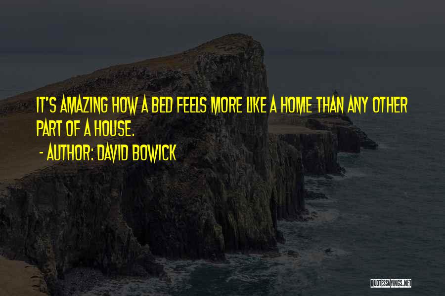 Feels Amazing Quotes By David Bowick