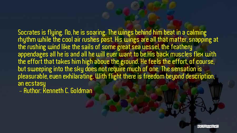 Feels Like Flying Quotes By Kenneth C. Goldman