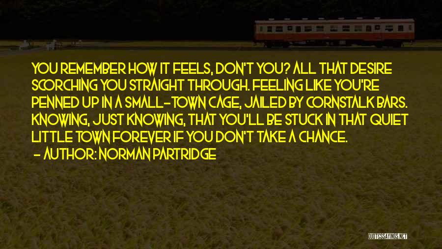 Feels Like Forever Quotes By Norman Partridge
