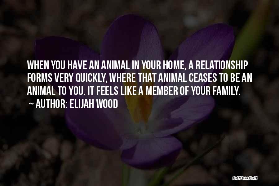 Feels Like Home Quotes By Elijah Wood