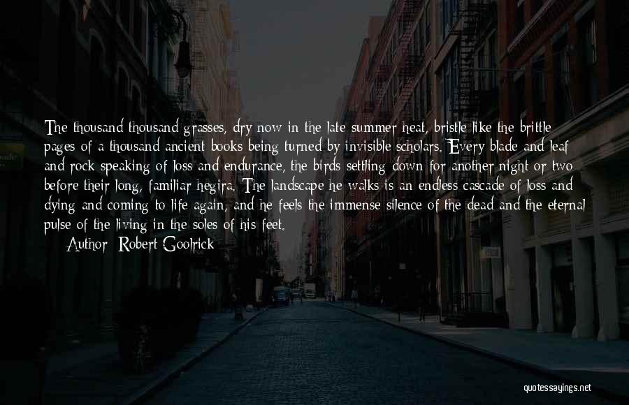 Feels Like Summer Quotes By Robert Goolrick