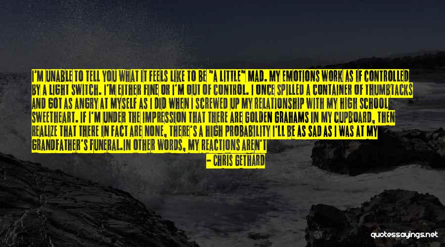 Feels Sad Quotes By Chris Gethard Feels Sad Quotes By Chris Gethard