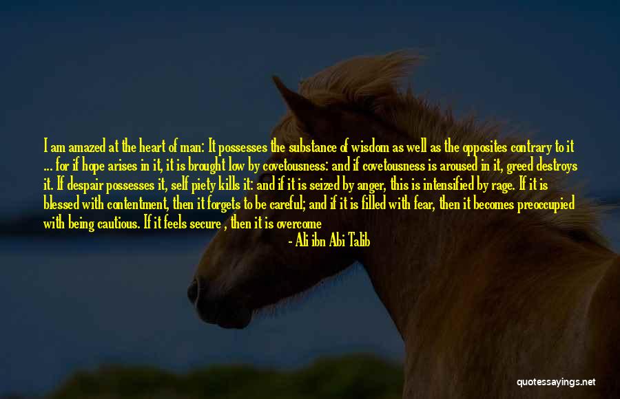 Feels So Blessed Quotes By Ali Ibn Abi Talib