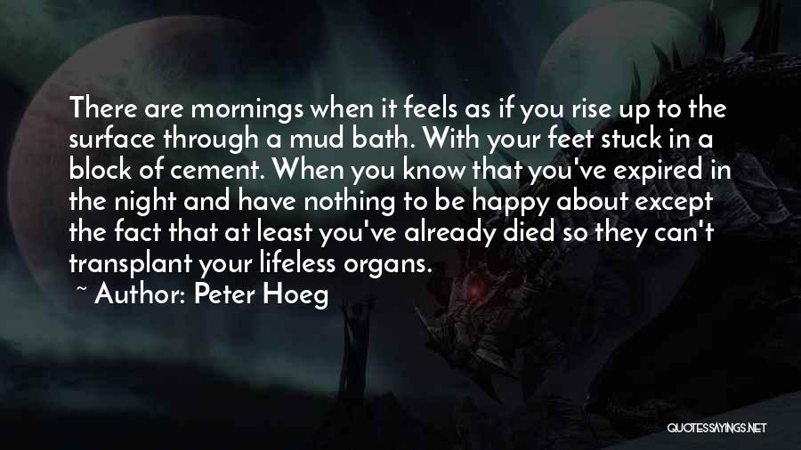 Feels So Happy Quotes By Peter Hoeg