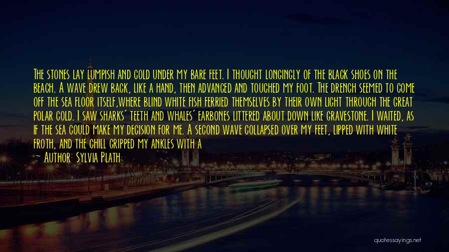 Feet And Beach Quotes By Sylvia Plath