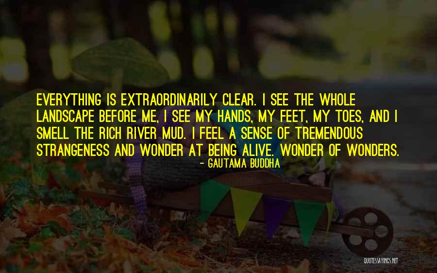 Feet And Toes Quotes By Gautama Buddha Feet And Toes Quotes By Gautama Buddha