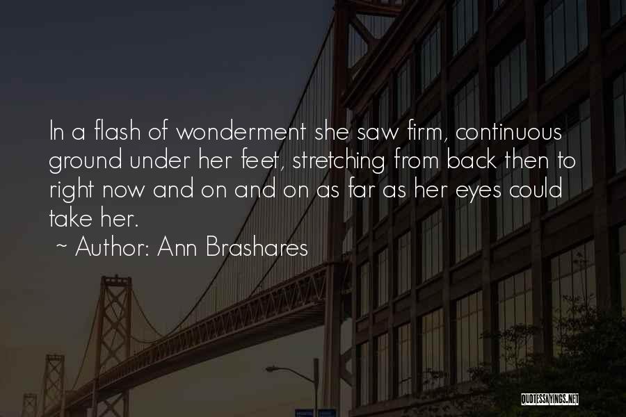 Feet Grounded Quotes By Ann Brashares