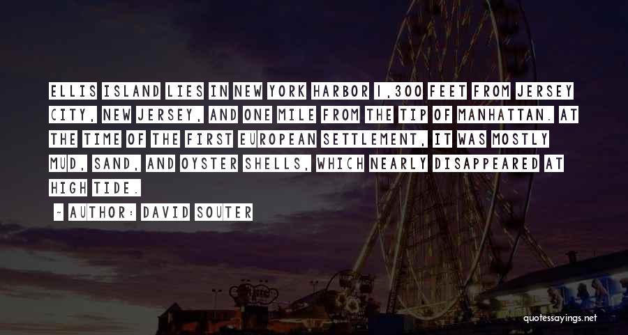 Feet In Sand Quotes By David Souter