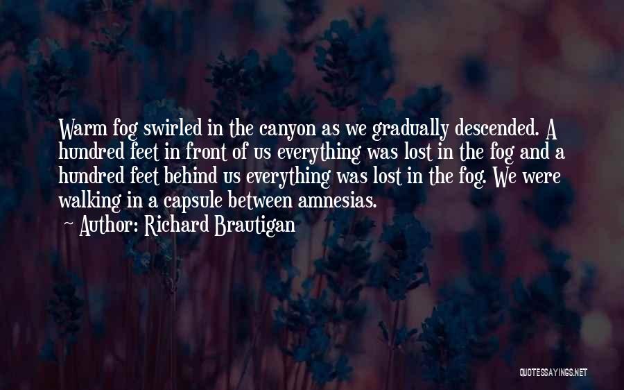 Feet In Sand Quotes By Richard Brautigan