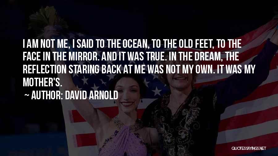 Feet In The Ocean Quotes By David Arnold