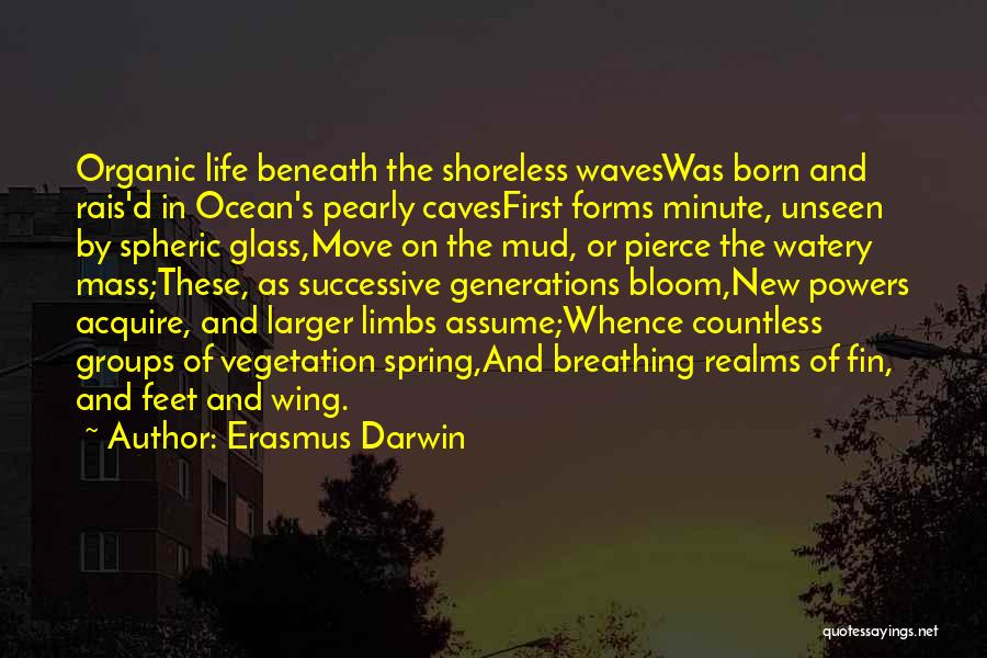Feet In The Ocean Quotes By Erasmus Darwin
