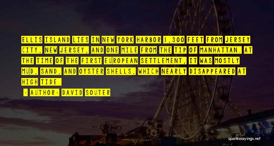 Feet In The Sand Quotes By David Souter