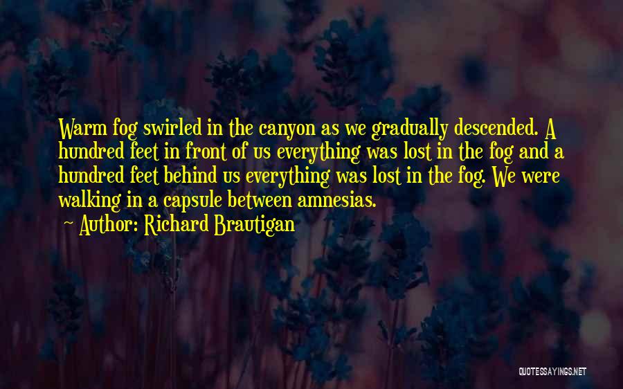 Feet In The Sand Quotes By Richard Brautigan