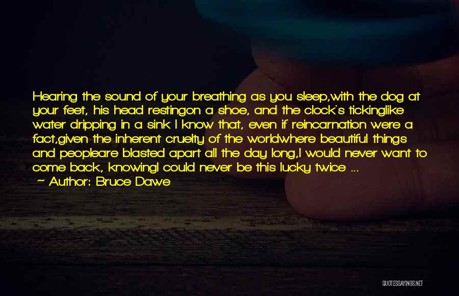 Feet In Water Quotes By Bruce Dawe