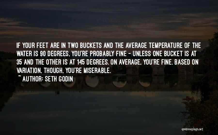 Feet In Water Quotes By Seth Godin