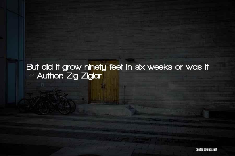 Feet In Water Quotes By Zig Ziglar