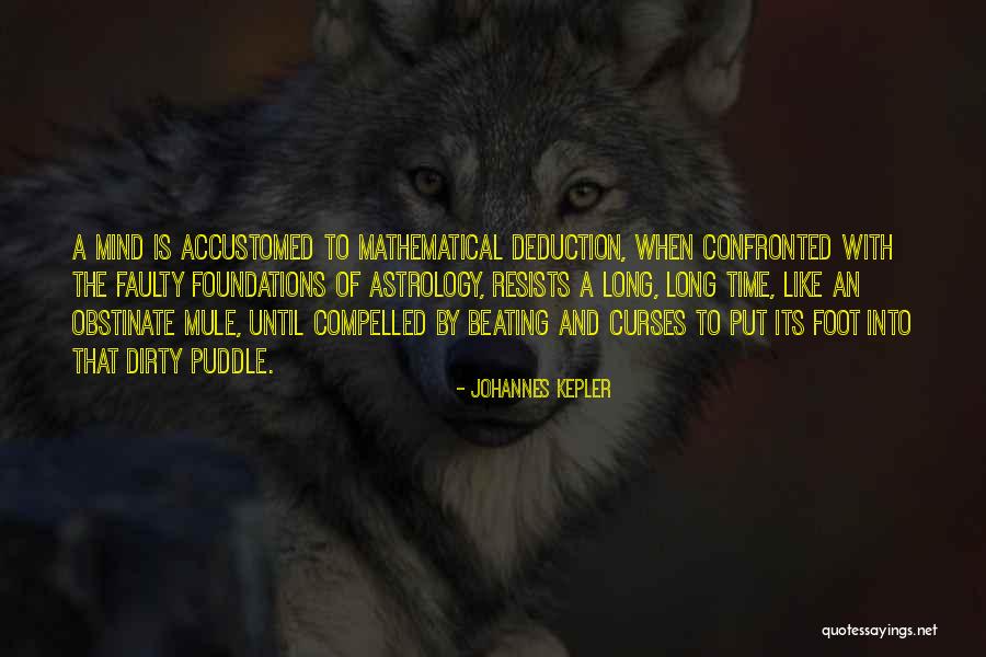 Feet Long Quotes By Johannes Kepler Feet Long Quotes By Johannes Kepler