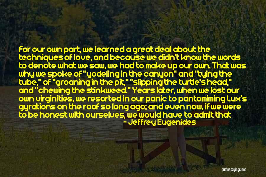 Feet Lovers Quotes By Jeffrey Eugenides Feet Lovers Quotes By Jeffrey Eugenides