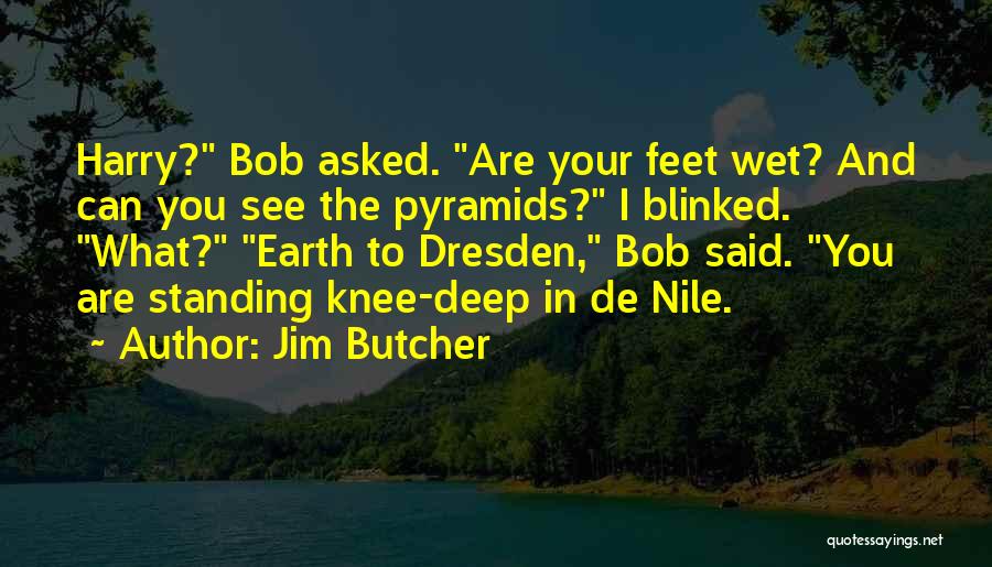 Feet Wet Quotes By Jim Butcher