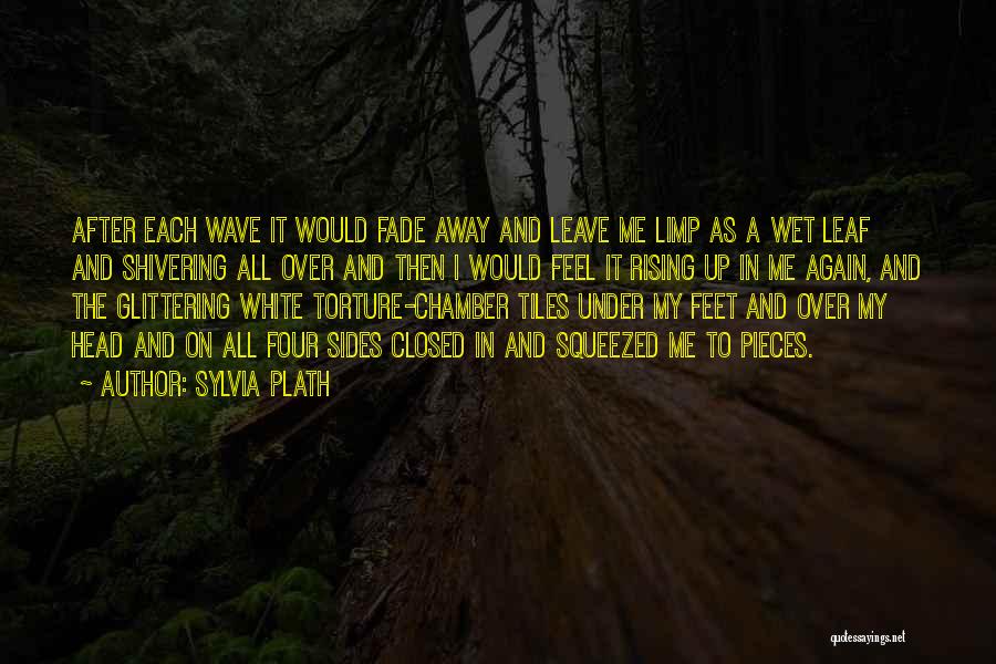 Feet Wet Quotes By Sylvia Plath