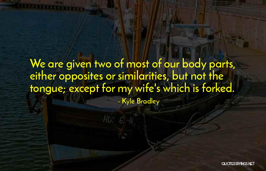 Fehlmann Pool Quotes By Kyle Bradley Fehlmann Pool Quotes By Kyle Bradley