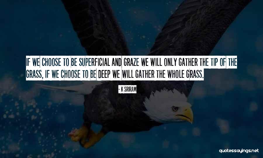Feiger Means Quotes By K SRIRAM Feiger Means Quotes By K SRIRAM