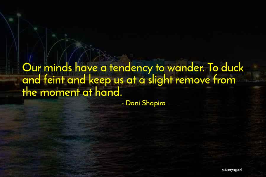 Feint Quotes By Dani Shapiro