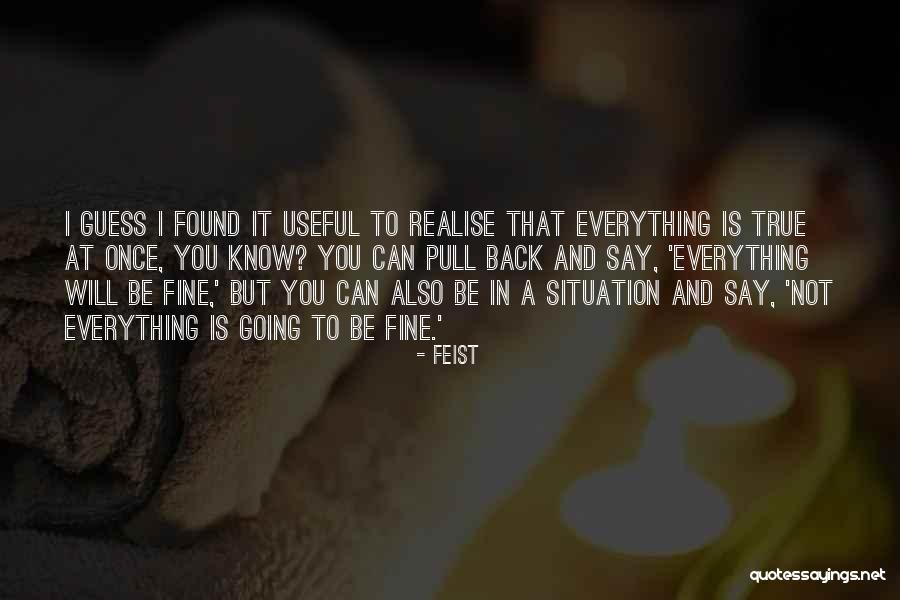 Feist Quotes 1340158 Feist Quotes 1340158