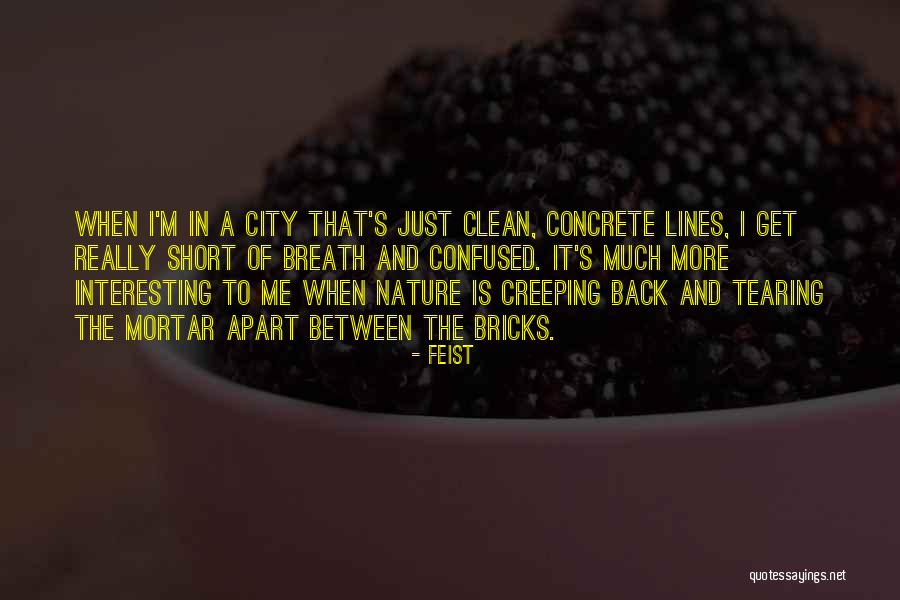 Feist Quotes 324569 Feist Quotes 324569