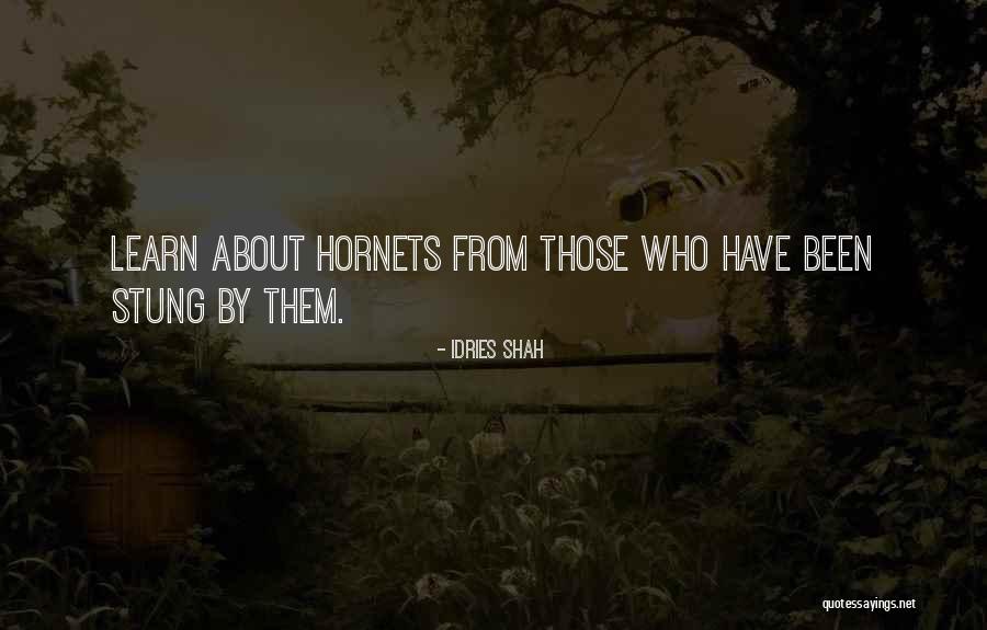 Feitas 18 Quotes By Idries Shah