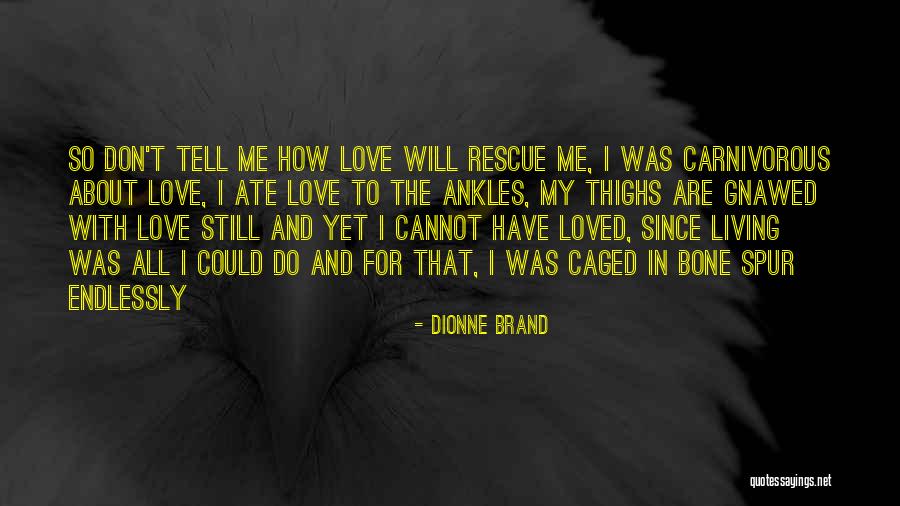 Fejemben Quotes By Dionne Brand Fejemben Quotes By Dionne Brand