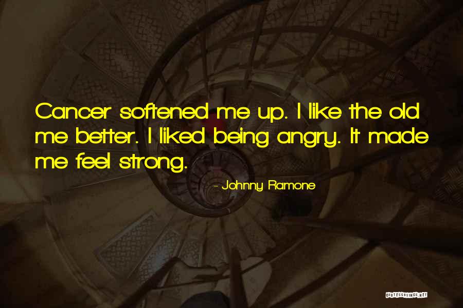 Fekry Abaza Quotes By Johnny Ramone Fekry Abaza Quotes By Johnny Ramone