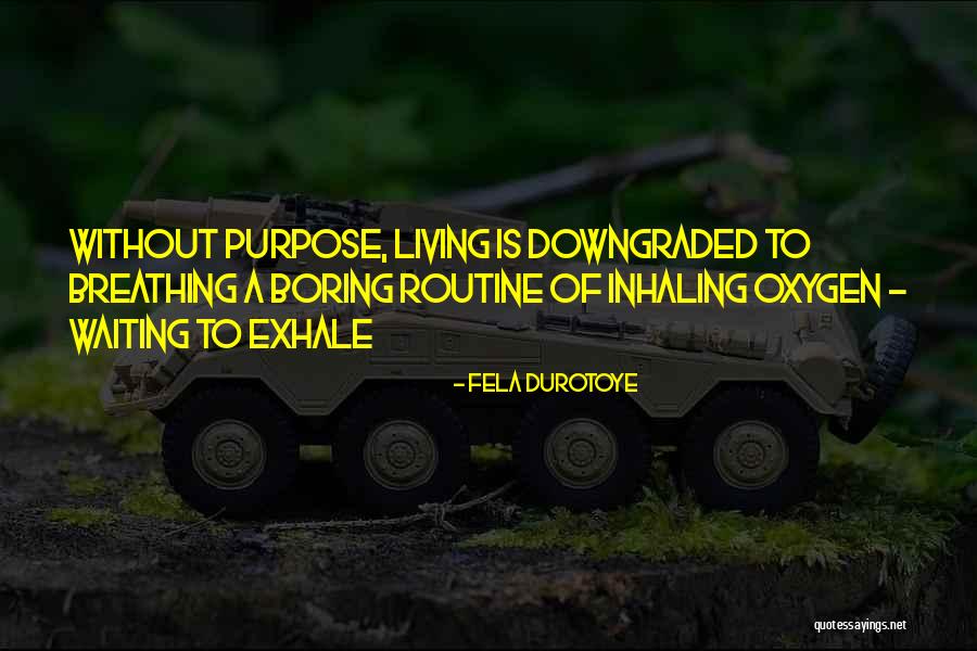 Fela Durotoye Quotes 1046338