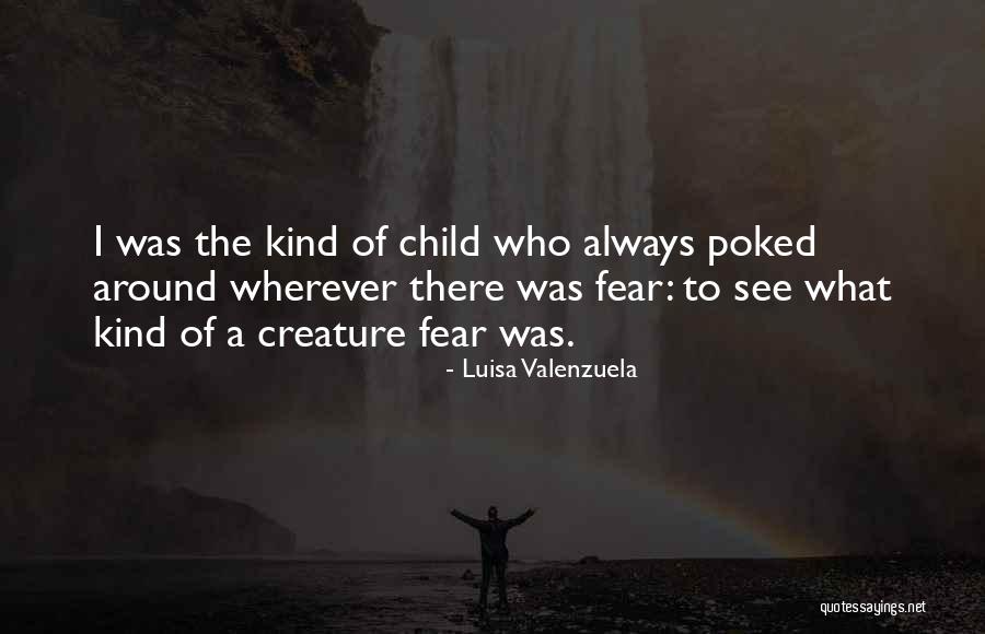 Felbermayr Page Quotes By Luisa Valenzuela Felbermayr Page Quotes By Luisa Valenzuela