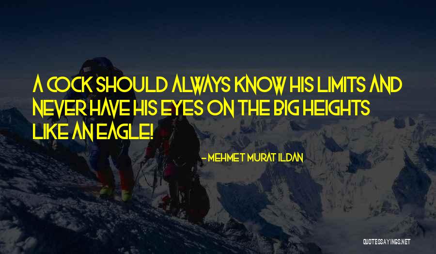Feldon Valley Quotes By Mehmet Murat Ildan Feldon Valley Quotes By Mehmet Murat Ildan