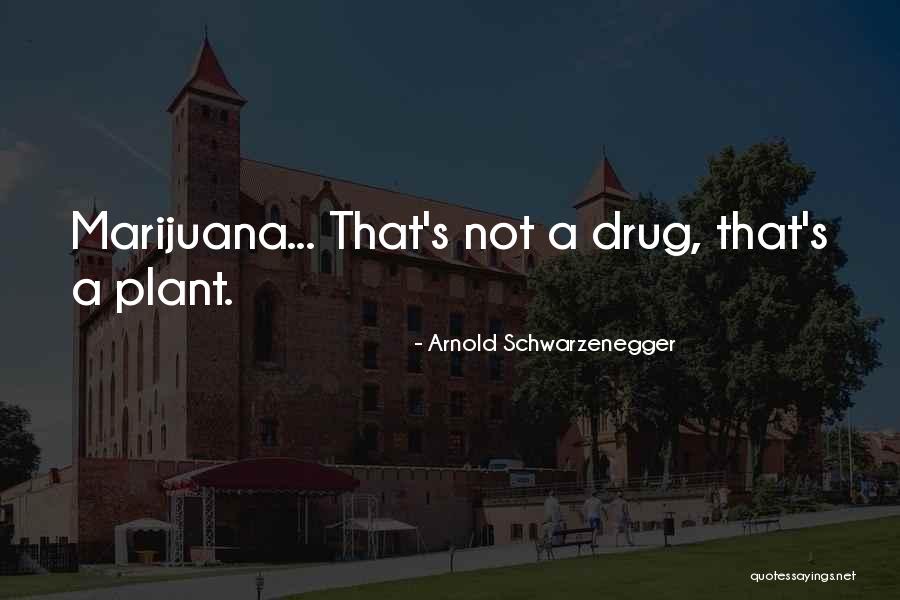 Feles Gek Luxuskivitelben Quotes By Arnold Schwarzenegger Feles Gek Luxuskivitelben Quotes By Arnold Schwarzenegger