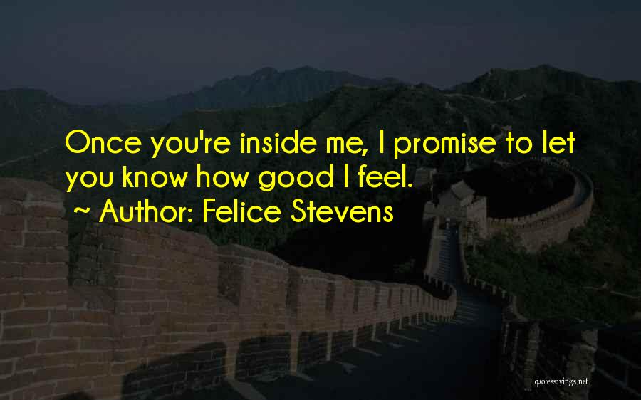 Felice Quotes By Felice Stevens