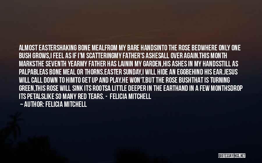 Felicia Mitchell Quotes 2042915