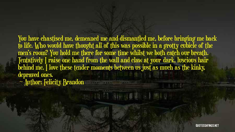 Felicity Brandon Quotes 1444723