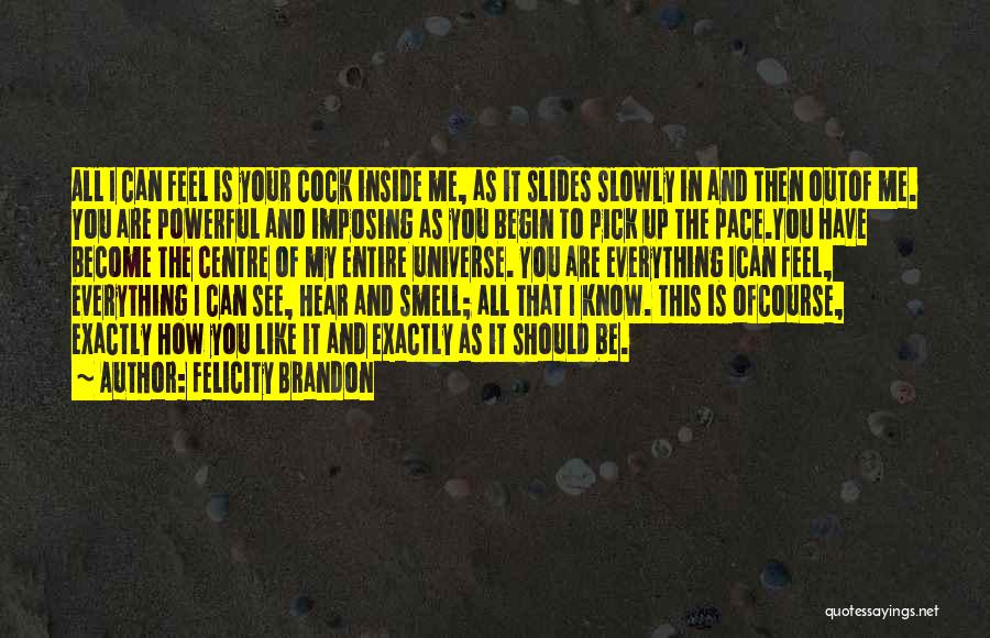 Felicity Brandon Quotes 1528919