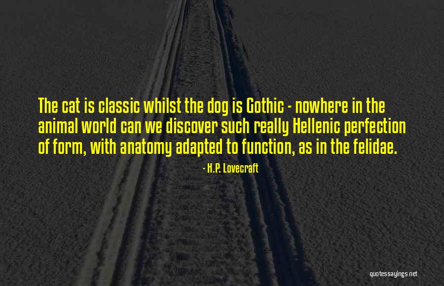 Felidae Cat Quotes By H.P. Lovecraft Felidae Cat Quotes By H.P. Lovecraft